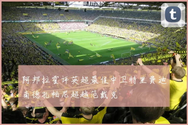 阿邦拉霍评英超最佳中卫特里费迪南德孔帕尼超越范戴克