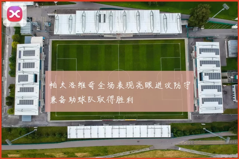帕夫洛维奇全场表现亮眼进攻防守兼备助球队取得胜利