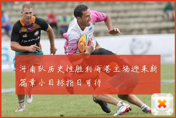 河南队历史性胜利海港主场迎来新篇章小目标指日可待