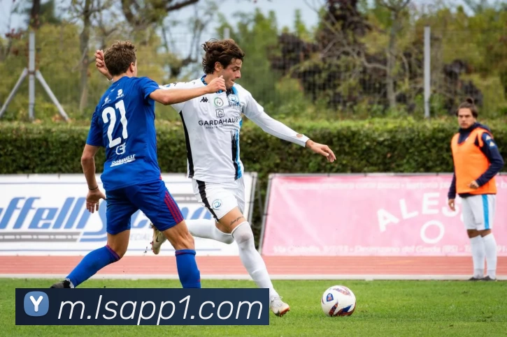 App Interface Preview