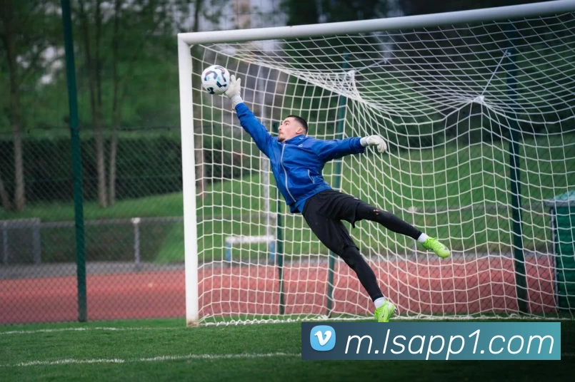 雷速体育AppAPP 封面图